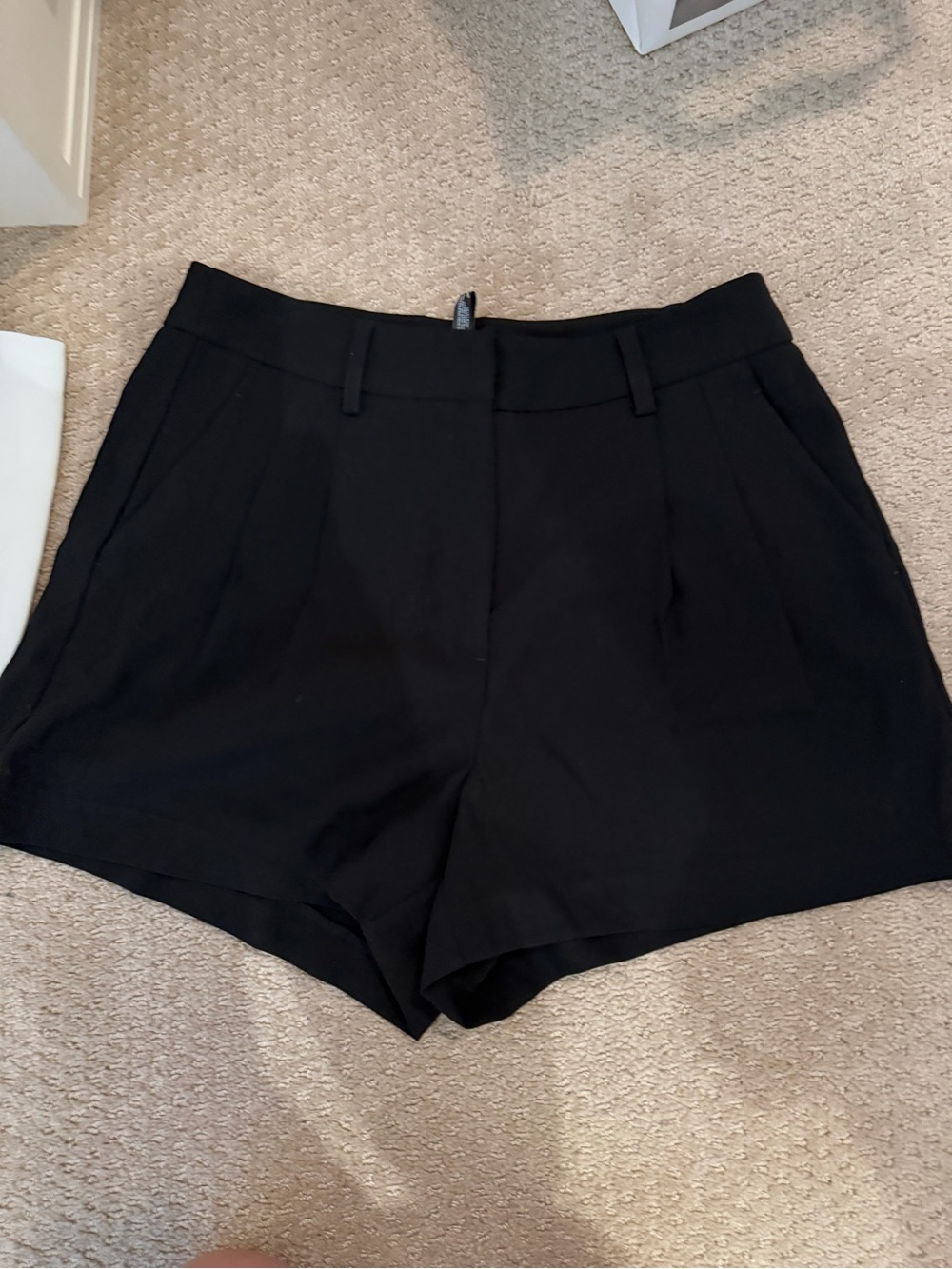 Aqua Black pleated shorts